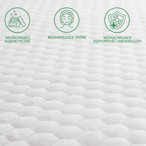 Pielęgnuje i Regeneruje Pielęgnuje i Regeneruje